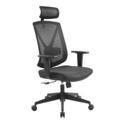 Mesh Ergonomic Office Chair With Headrest - Black